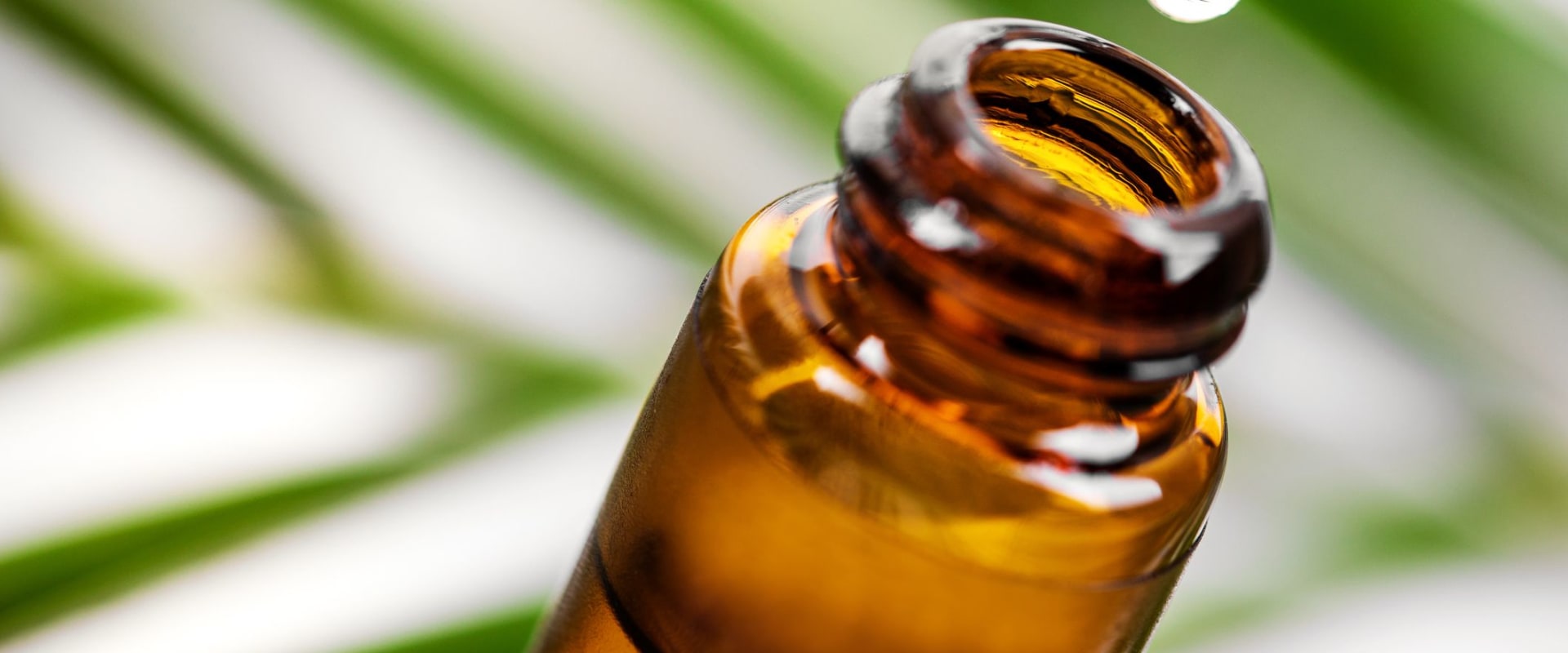 Explore the Benefits of Tea Tree Oil for Herpes