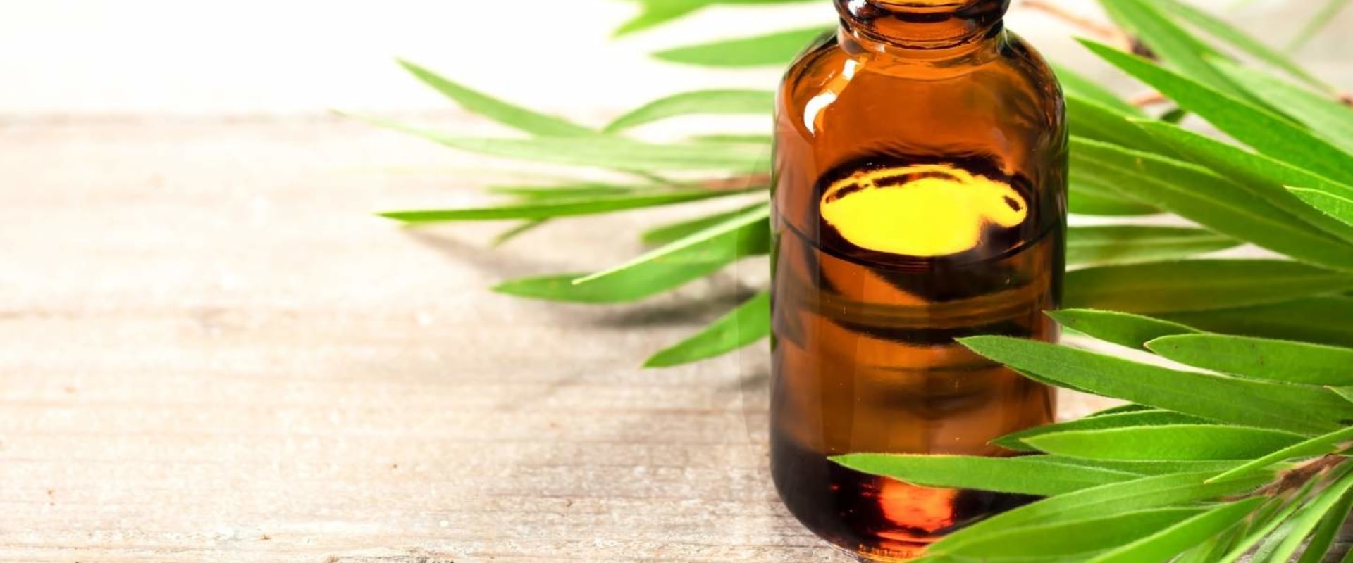 Tea Tree Oil Extract for Herpes - A Comprehensive Overview