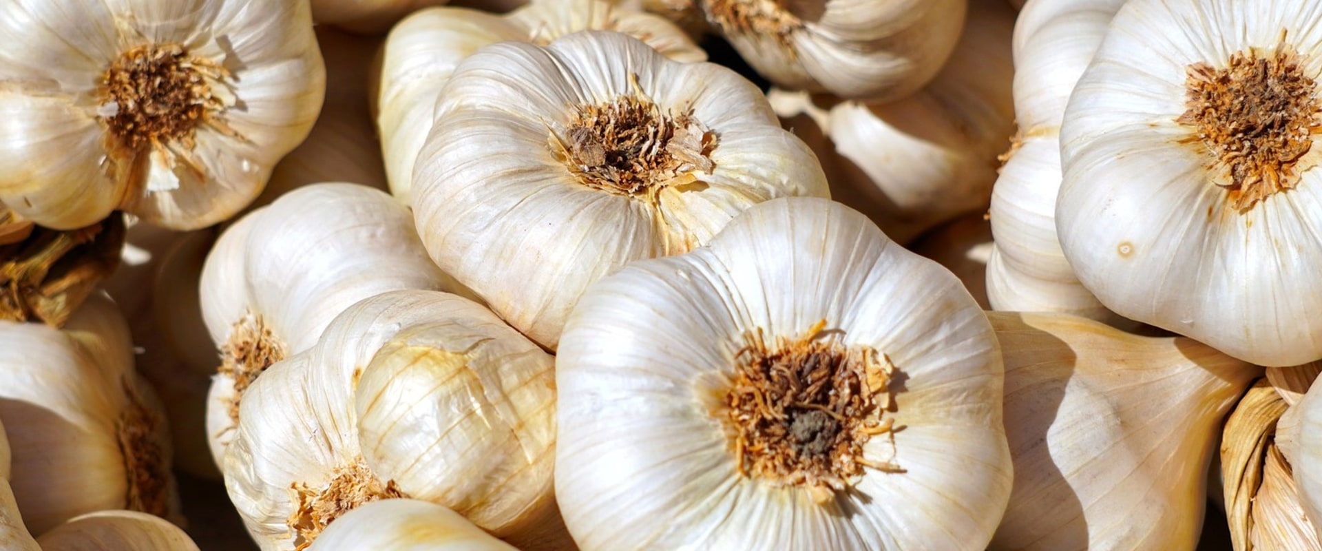 Garlic Tea for Herpes Benefits, Uses & Recipes