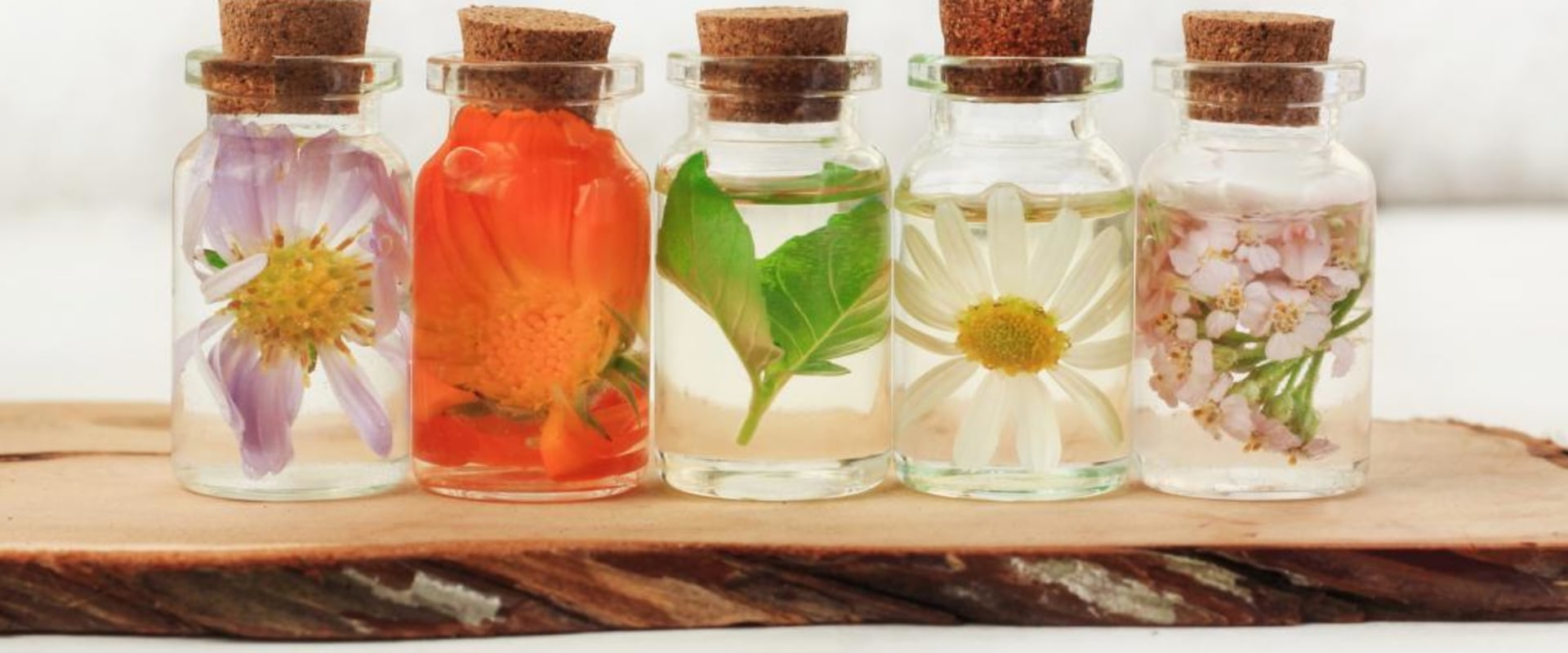 Herbal Supplements for the Treatment of Herpes